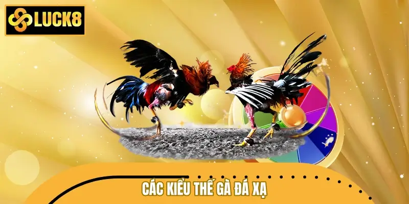 Các kiểu thế gà đá xạ phổ biến hiện nay