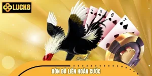 Đòn Đá Liên Hoàn Cước - Chiến Thuật Hạ Gục Đối Thủ Nhanh Gọn