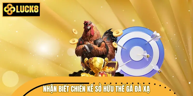 Cách nhận biết chiến kê sở hữu thế gà đá xạ