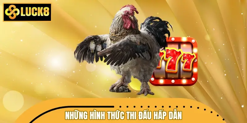Những hình thức thi đấu hấp dẫn tại đá gà LUCK8
